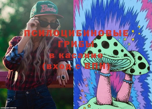 ECSTASY Зерноград
