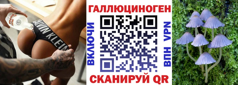 Галлюциногенные грибы GOLDEN TEACHER  blacksprut зеркало  Красный Холм 